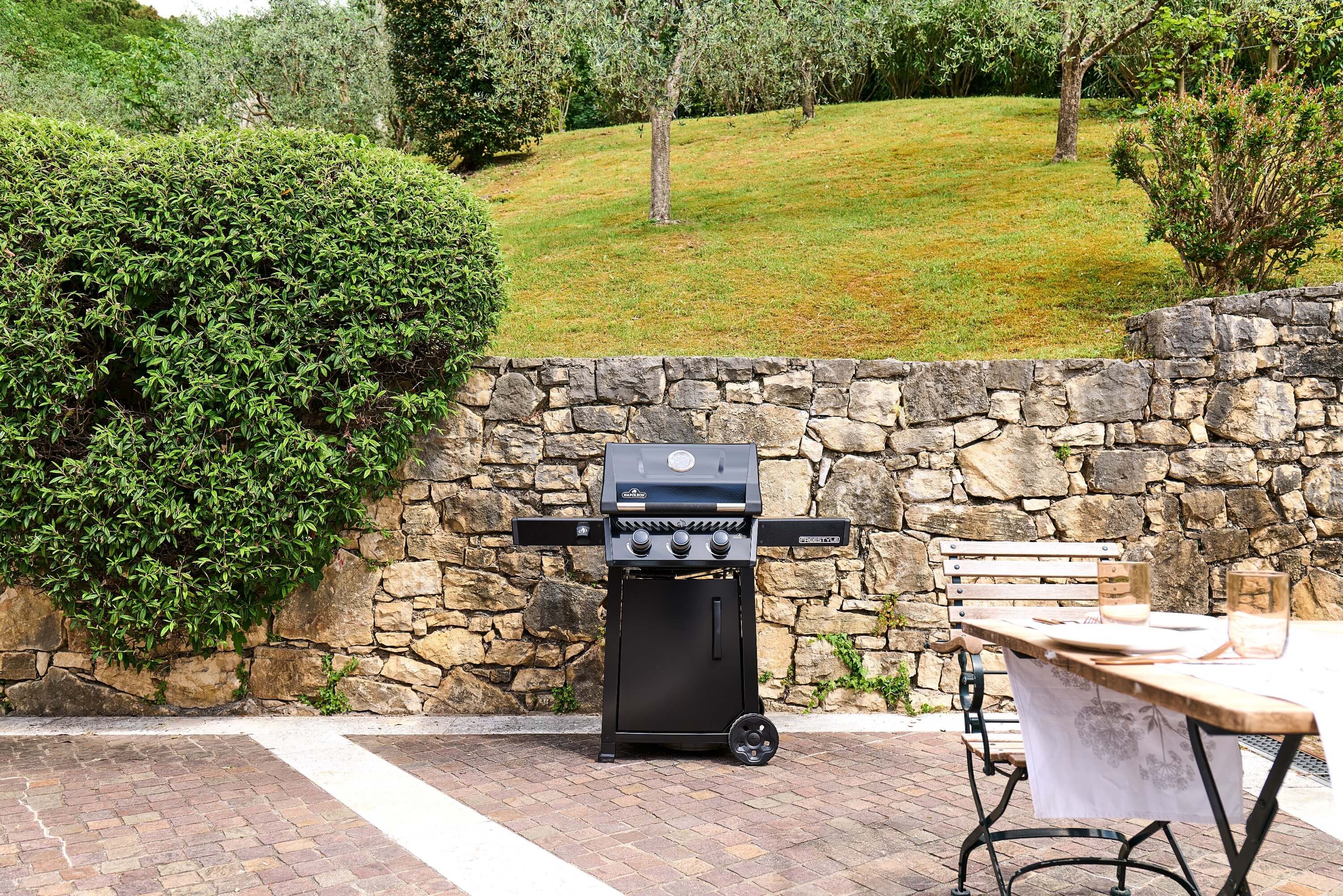 Napoleon Freestyle 365 Gasgrill Schwarz | Modell 2026