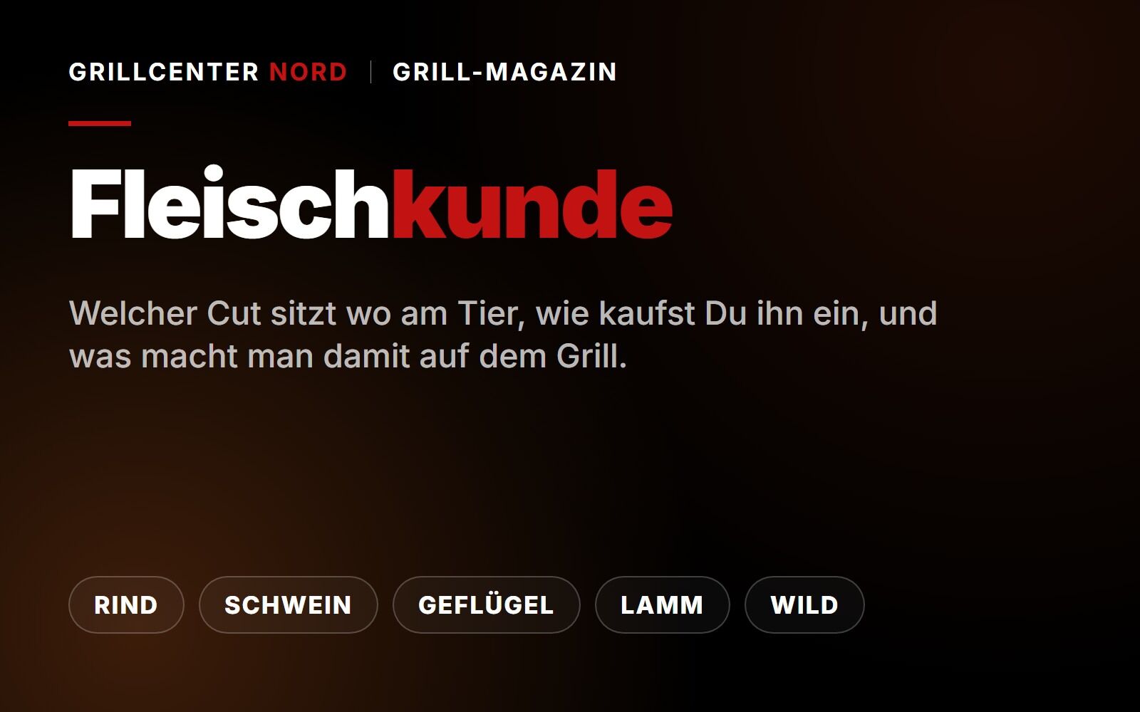 Fleischkunde im Grill-Magazin von Grillcenter Nord mit den Bereichen Rind, Schwein, Geflügel, Lamm und Wild