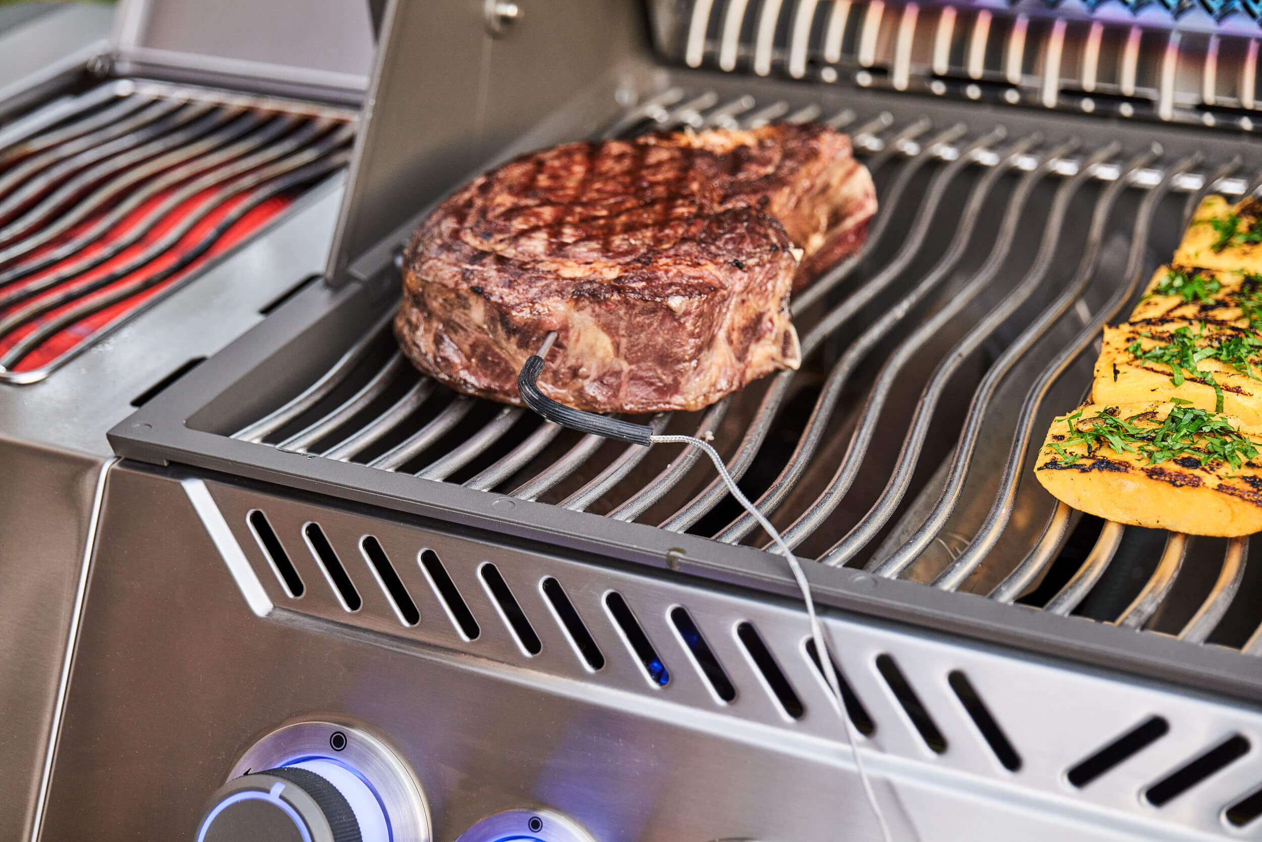 Napoleon Prestige 500 Gasgrill mit Sizzle Zone und Heckbrenner Edelstahl | Modell 2025
