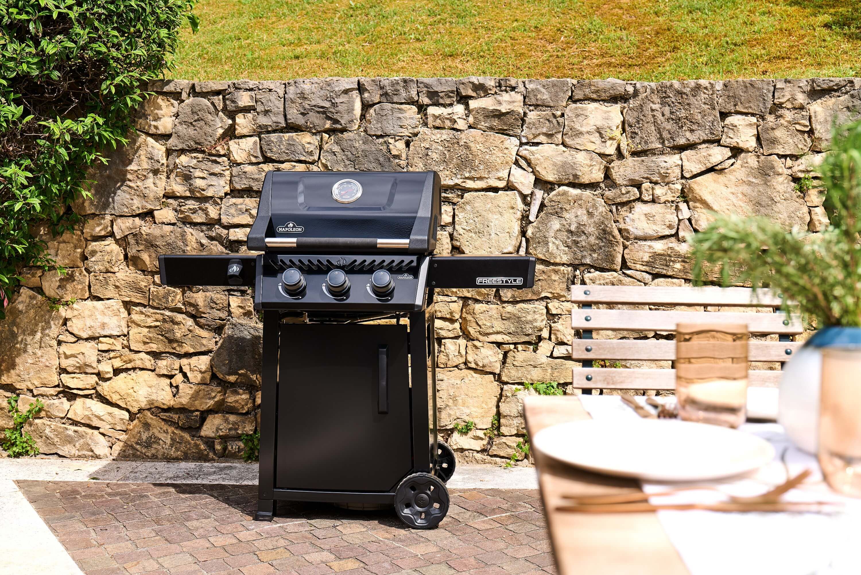 Napoleon Freestyle 365 Gasgrill Schwarz | Modell 2026
