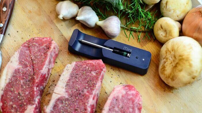 The MeatStick MINI Ladegerät / ohne Stick TC300