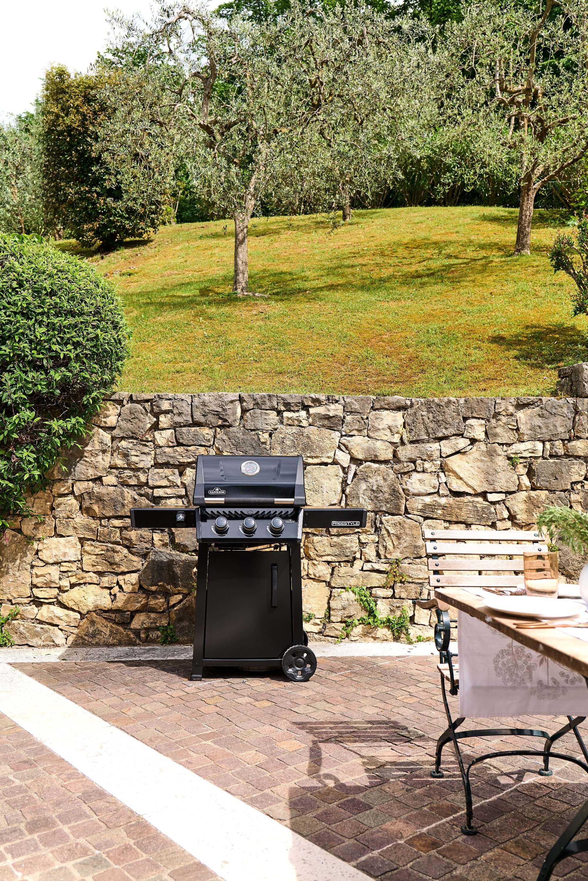 Napoleon Freestyle 365 Gasgrill Schwarz | Modell 2026